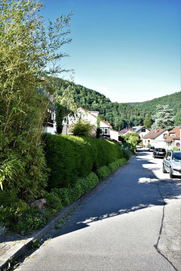 Fvh Family Vacation Heidelberg Apartment Luaran gambar