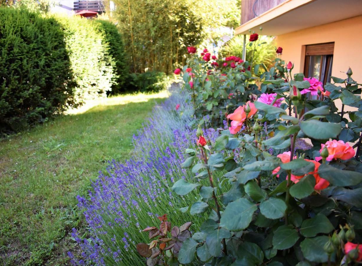 Fvh Family Vacation Heidelberg Apartment Luaran gambar
