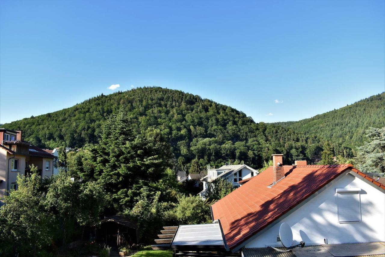 Fvh Family Vacation Heidelberg Apartment Luaran gambar